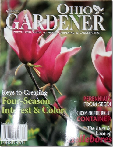 A Hocking Hill's Garden: Ohio Gardener Magazine